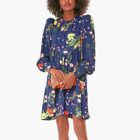 Tuckernuck Pomander Place Wildflower Spencer Dress w/ Puff Sleeves Size Medium - Picture 1 of 9